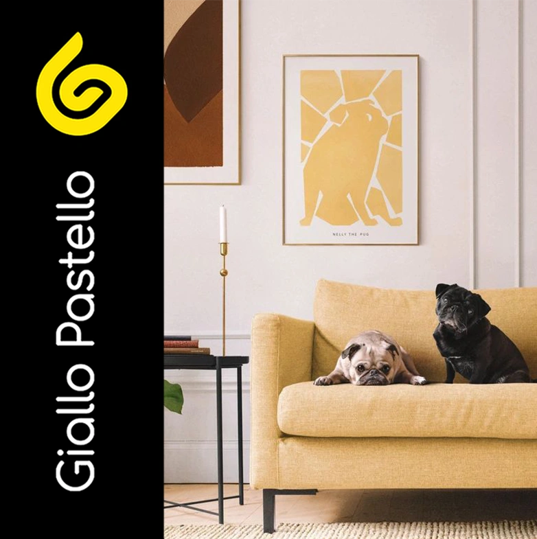 Pet in casa: materiali e arredi - Giallo Pastello